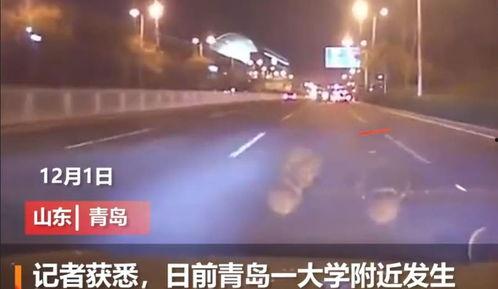 山东青岛爆料视频,揭秘城市生活背后的真实故事 第2张 山东青岛爆料视频,揭秘城市生活背后的真实故事 第2张